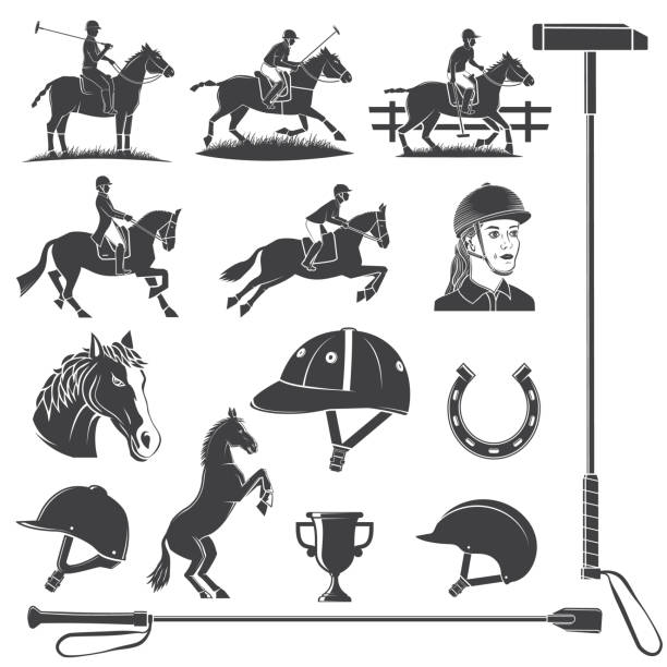 ilustrações, clipart, desenhos animados e ícones de conjunto de ícone do esporte de equitação a cavalo. ilustração vetorial. ícone equestre monocromático vintage, placa com cavaleiro, ferradura, capacete, cabeça de cavalo, cultura de equitação e silhuetas de cavalo - mallet