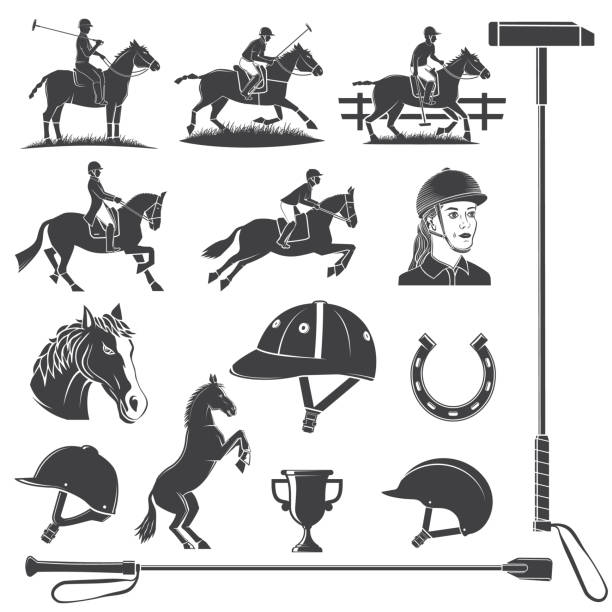 Set of Horse riding sport icon. Vector illustration. Vintage monochrome equestrian icon, sign with rider, horseshoe,helmet , horse head, riding crop and horse silhouettes vector art illustration