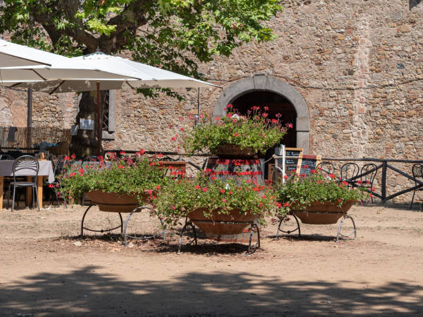 large round clay vases filled with red flowers and green leaves near a restaurant in a medieval italian village - usa restaurant flower bed beauty in nature imagens e fotografias de stock