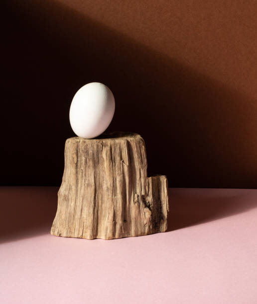 One egg on a wooden pedestal. Concept subject