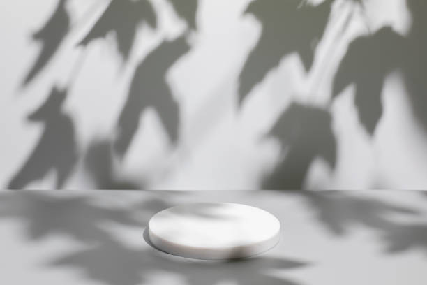 istock scene with white podium on gray background and shadows 1363781866