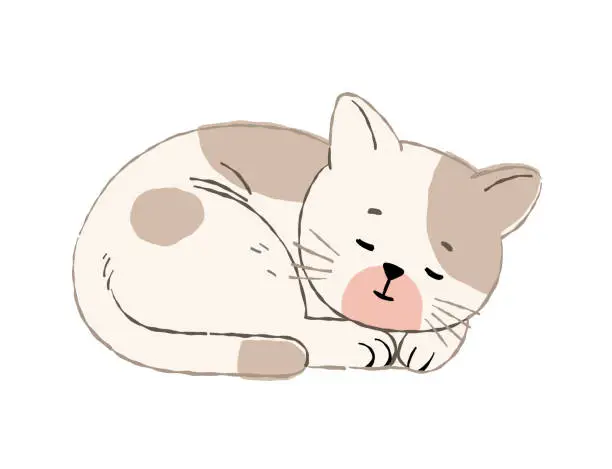 Vector illustration of one cute cat sleeping