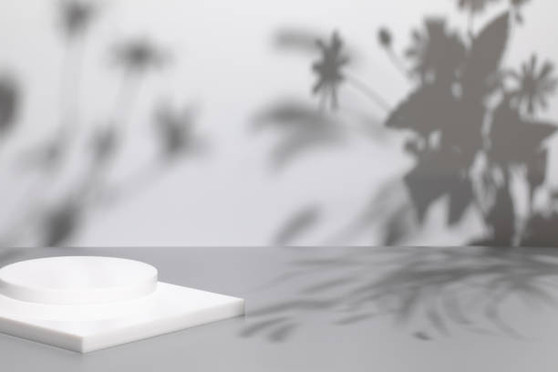 istock scene with white podium on gray background and shadows 1363782810