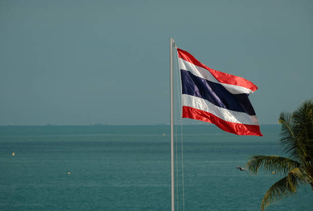 thailand national flag thailand national flag waving on blue sky sea and palm tree background thai flag stock pictures, royalty-free photos & images
