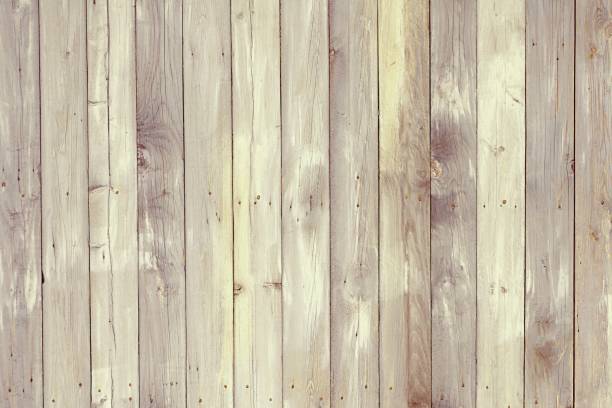 istock Texture of knotty pine boards 1363783175