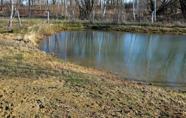 They built a lake and ponds of puddles and waterlogged meadows for amphibians and aquatic insects in the meadow with state subsidies. revitalization and revitalization of the dull suburban landscape, biotope, reconstruction, impassable, reclamation, through construyeron un lago y estanques de charcos y praderas anegadas para anfibios e insectos acuáticos en la pradera con subsidios estatales. revitalización y revitalización del aburrido paisaje suburbanoconstruyó un lago y estanques de charcos y anegados,