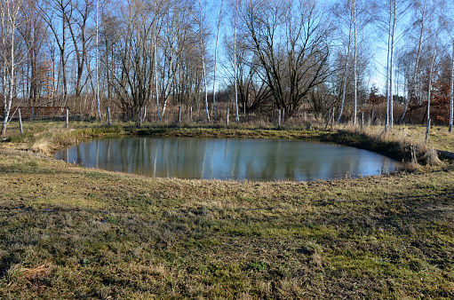 They built a lake and ponds of puddles and waterlogged meadows for amphibians and aquatic insects in the meadow with state subsidies. revitalization and revitalization of the dull suburban landscape, biotope, reconstruction, impassable, reclamation, through