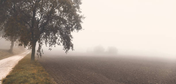 Morning in foggy day, countryside landscape