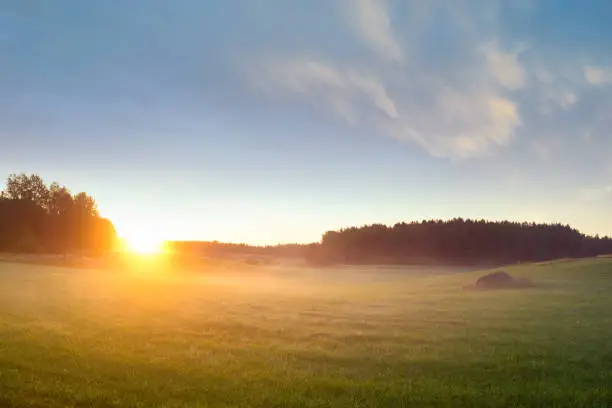 Swedish landscape and nature. Sun goes up and there is mist and fog and ray of sun over the field