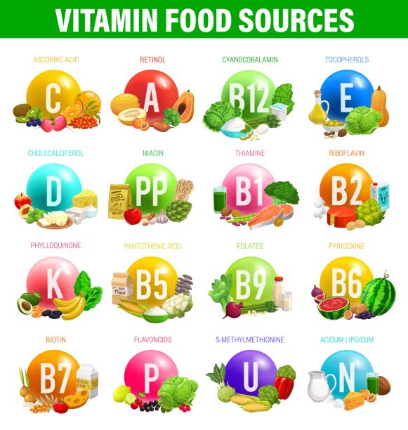Vitamins and minerals food sources in nutrition Vitamins and minerals food sources in nutrition vector infographics. Healthy fruits and vegetables, diet chart with vitamins D, C, B, antioxidants and dietetics nutrition benefits of organic minerals vitamin a nutrient stock illustrations