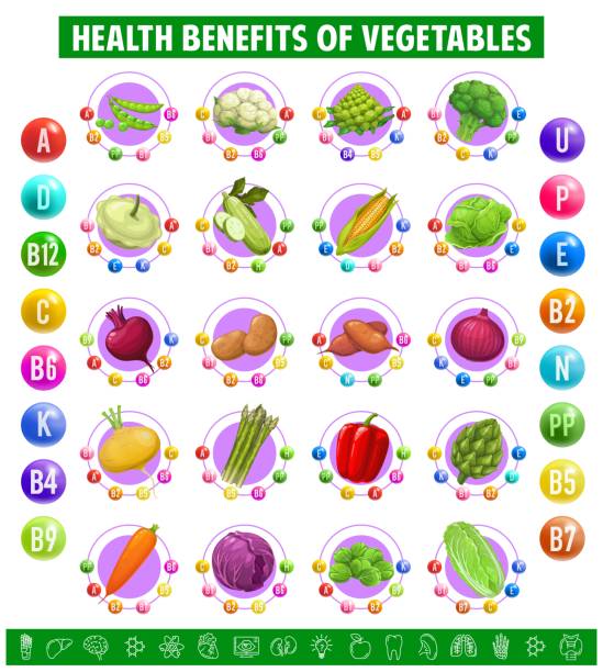 Chart table content of vitamins in vegetables Chart table content of vitamins and minerals in vegetables. Green peas, cauliflower, artichoke and broccoli, squash and cabbage with beet and potato. Onion, turnip or asparagus, bell pepper and carrot vitamins and minerals chart stock illustrations