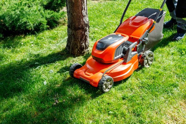 istock orange lawn mower on wheels on green fresh grass. grass mowing process 1363785070