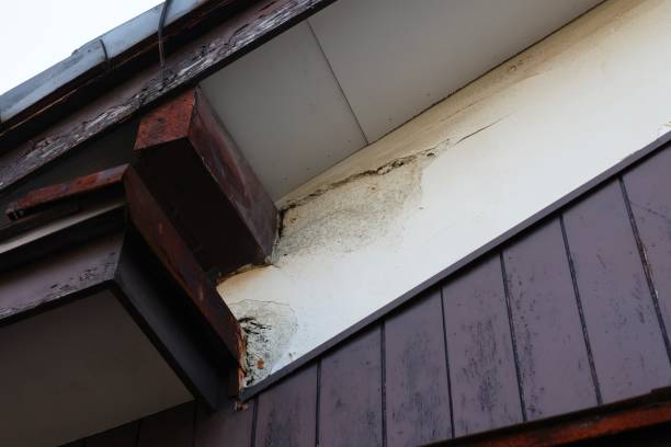 istock This house has peeling exterior walls that need to be repaired 1363785659