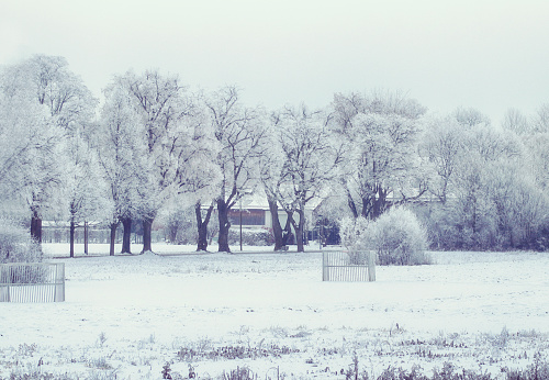 white winter landscape: small soccer field submerded by snow and frosted trees