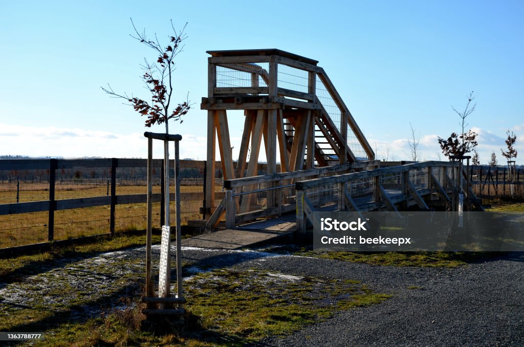 observation tower platform made of oak logs with barrier-free access for seniors and the immobile. zoo safari with a large paddock and terrace for tourists Accessibility Stock Photo