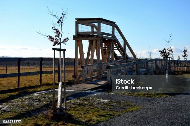 Observation Tower Platform Made Of Oak Logs With Barrierfree Access For Seniors And The Immobile Zoo Safari With A Large Paddock And Terrace For Tourists Stock Photo - Download Image Now