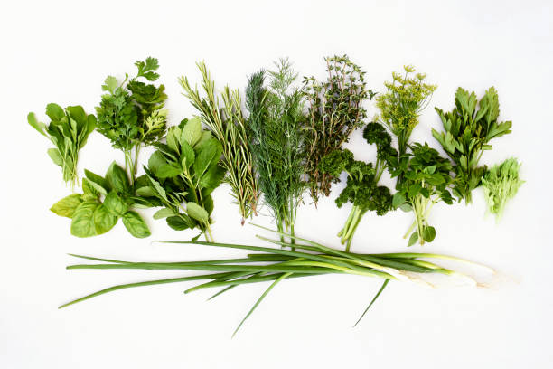 istock Fresh green herbs, vegetables from market 1363789721