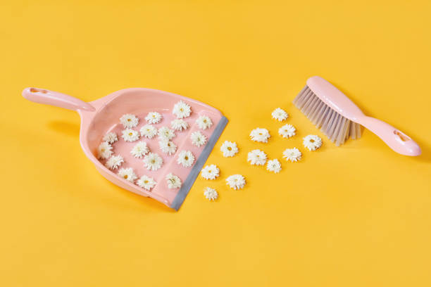 istock Sweeping white flowers in brush and dustpan on yellow studio background 1363789855