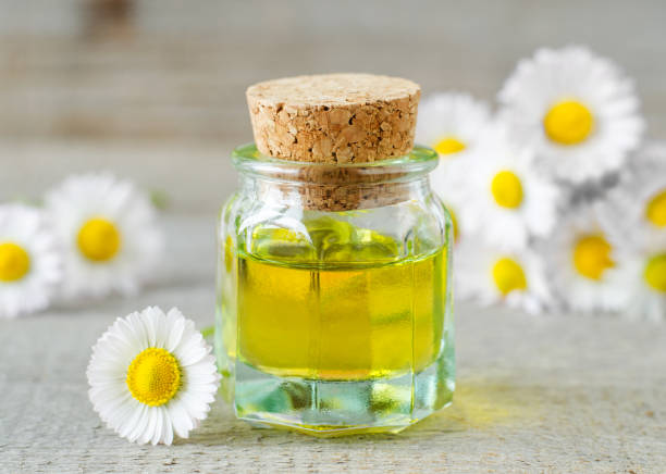 mała szklana butelka z niezbędnym olejkiem z rumianku rzymskiego. składniki aromaterapii, spa i ziołolecznictwa. stare drewniane tło. - chamomile plant daisy spa treatment chamomile zdjęcia i obrazy z banku zdjęć