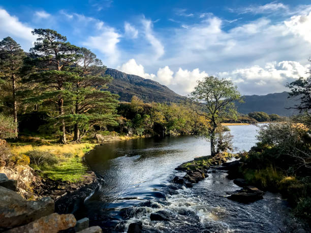 Landscape with water in national park in Ireland - Killarney National Park Beautiful landscape in the first national park in Ireland - Killarney National Park, near the town of Killarney, County Kerry killarney lake stock pictures, royalty-free photos & images