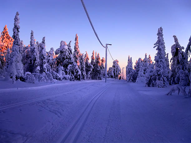 istock Cross-country ski trail 136379166