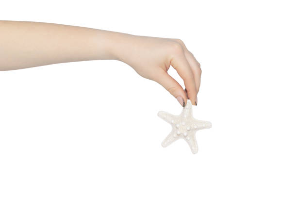 istock starfish in hand on white background, concept to pass or discard 1363795111