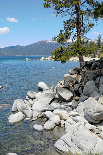 istock Lake Tahoe Shorline 136379521