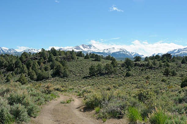 istock Eastern Sierra Mountain Landscape 136379610