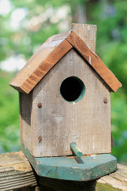 istock Wooden Bird House Outdoors - Art and Craft 136379620
