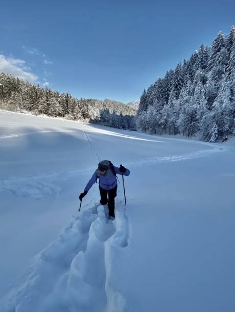 Achensee Pertisau Tristenau Falzthurn Tal im Bezirk Schwaz im Karwendel Tirol Austria - Snowshoeing stock photo