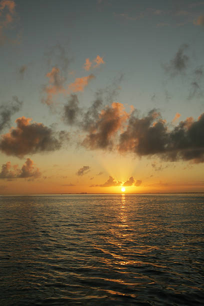 Bellissimo tramonto tropicale - foto stock