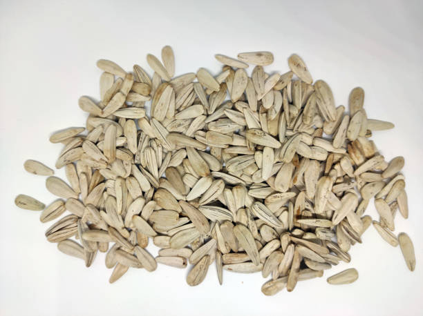 sunflower seeds stock photo