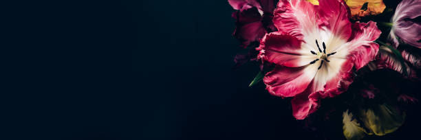 istock Bunch of Parrot Style Tulips 1363797967