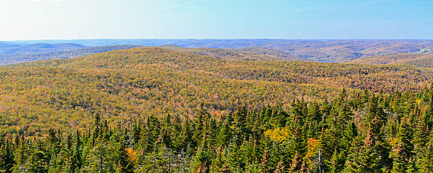 istock Balsam Lake Mountain Looking West 136379814