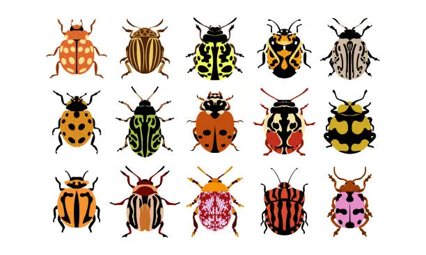 Vector illustration of collection set of flat vector illustration of bugs.