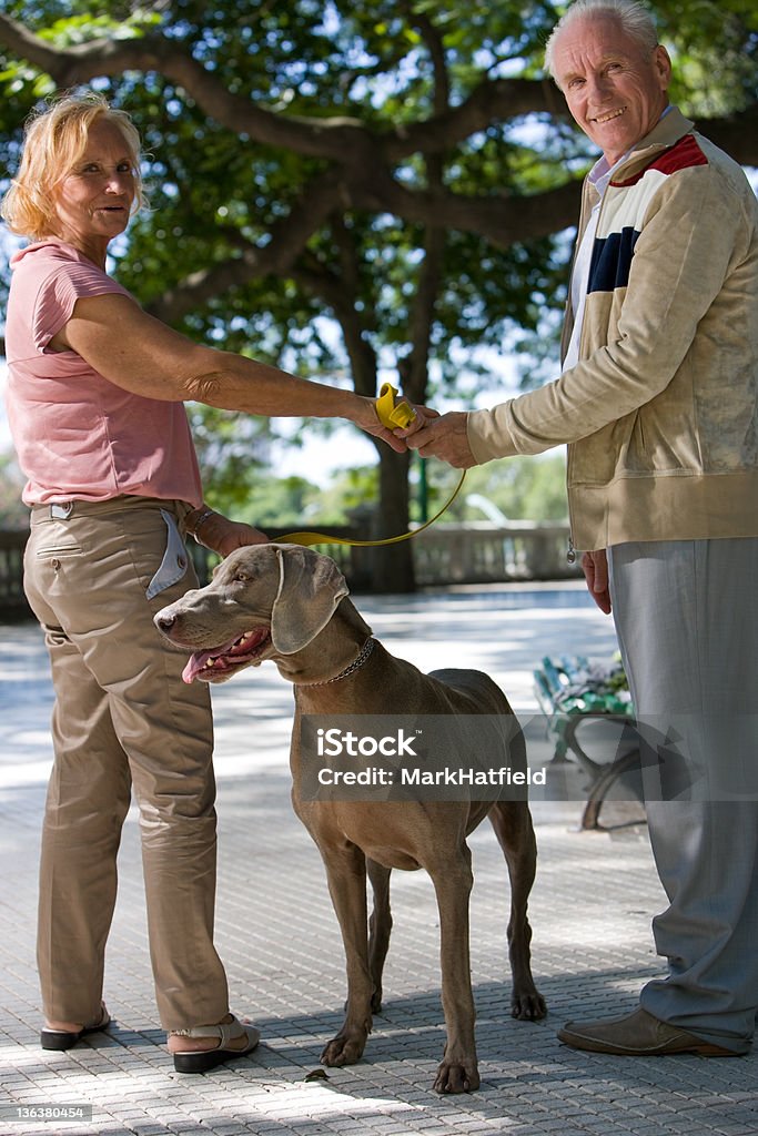 高齢者のカップルには、犬の散歩 - 2人のロイヤリティフリーストックフォト