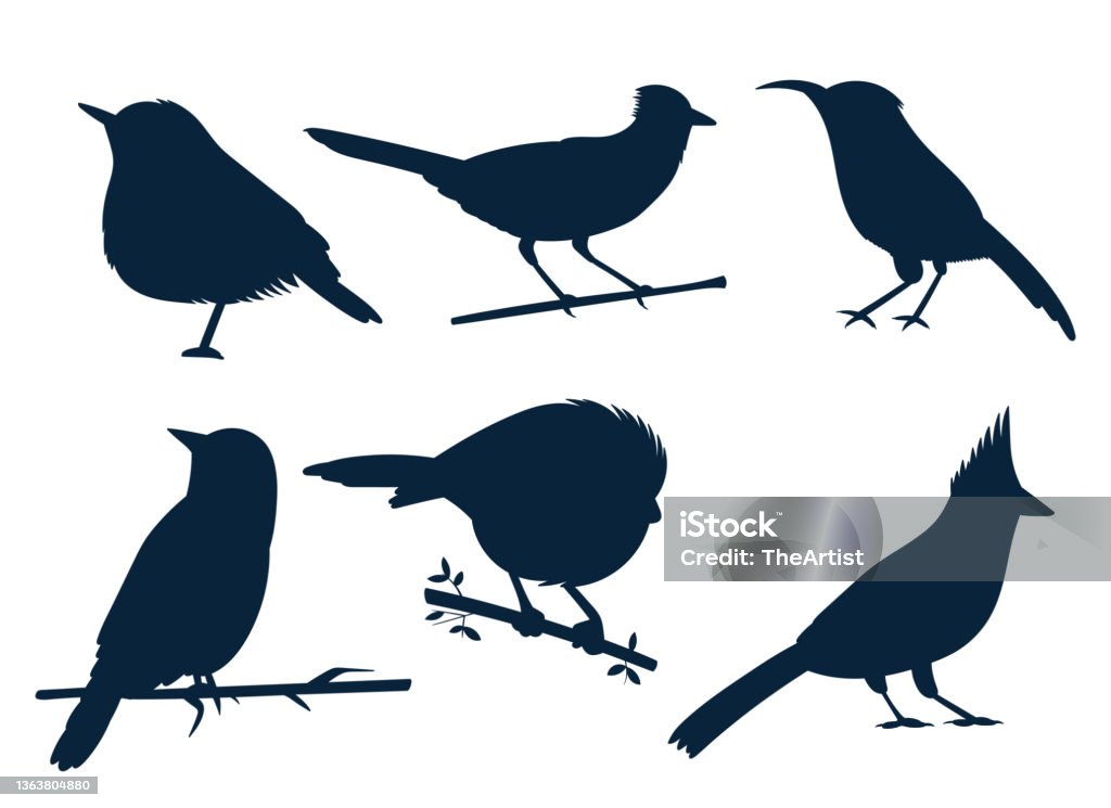 Bird Vector Set Birds Set Vector Design Illustration Isolated On White Background Stock ...