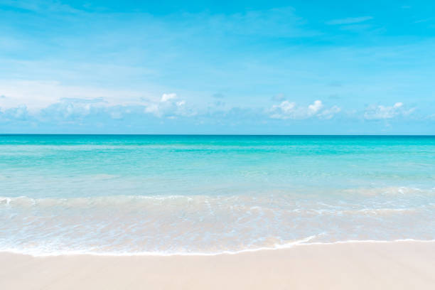 istock Beautiful tropical beach with blue sky and white clouds abstract texture background. 1363806739