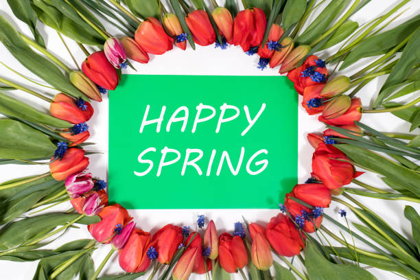 Beautiful flower frame of red tulips with the text Happy Spring on a green background. Beautiful flower frame of red tulips with the text Happy Spring on a green background march month photos stock pictures, royalty-free photos & images
