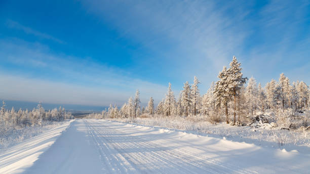 istock Winter road on a sunny day 1363808307
