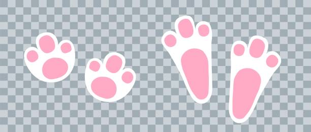 Easter bunny footprint Easter bunny footprint in white color.  Vector rabbit step easter vector holiday design element stock illustrations