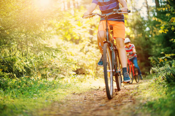 niños en bicicleta en el bosque temprano en la mañana. - turismo ecológico fotografías e imágenes de stock