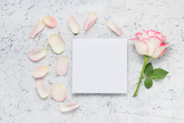istock Blank paper sheet with rose and petals, copy space for text 1363810041
