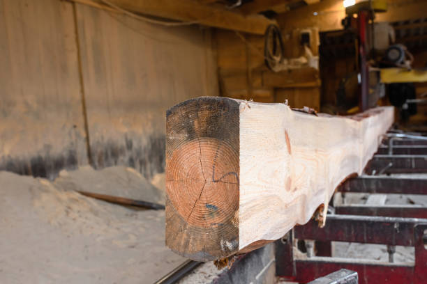Pile of Peach Wood.