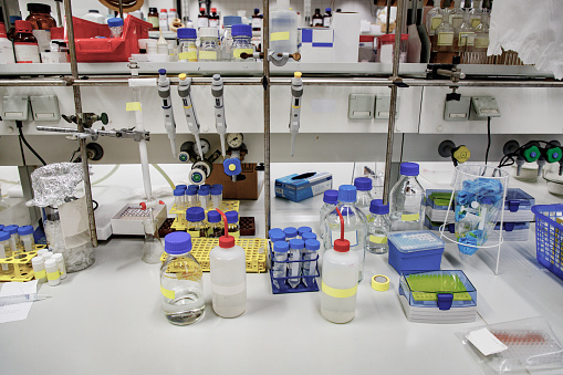 Biological chemistry laboratory bench in use