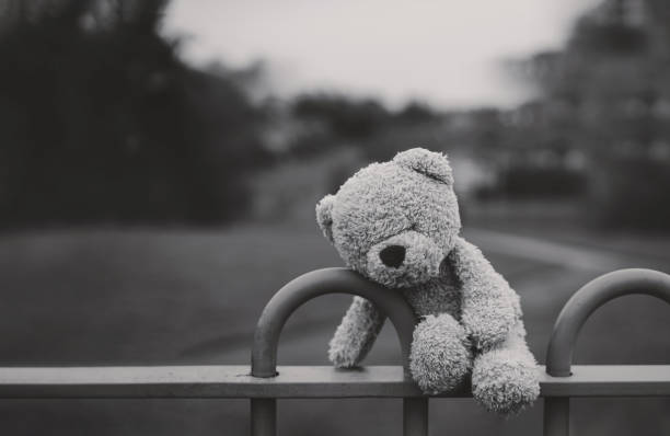 oso de peluche perdido en blanco y negro sentado en el banco en el patio de recreo en un día sombrío, muñeca de oso de cara solitaria y triste acostada sola en el parque, juguete perdido, concepto de soledad, día internacional de los niños desaparecid - stuffed animal fotos fotografías e imágenes de stock