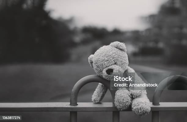 Black And White Lost Teddy Bear Sitting On Bench At Playground In Gloomy Daylonely And Sad Face Bear Doll Lied Down Alone In The Park Lost Toyloneliness Concept International Missing Children Day Stock Photo - Download Image Now