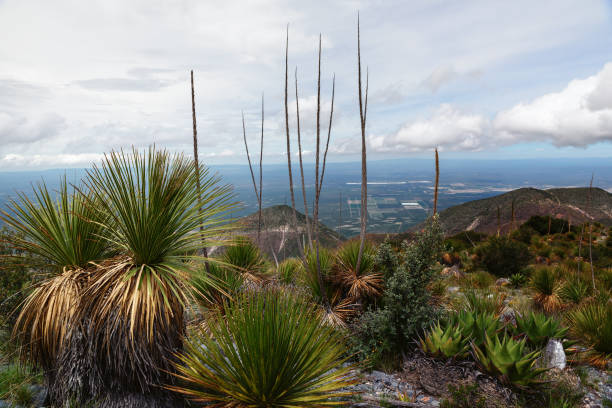 istock Hiking in mountains 1363819660