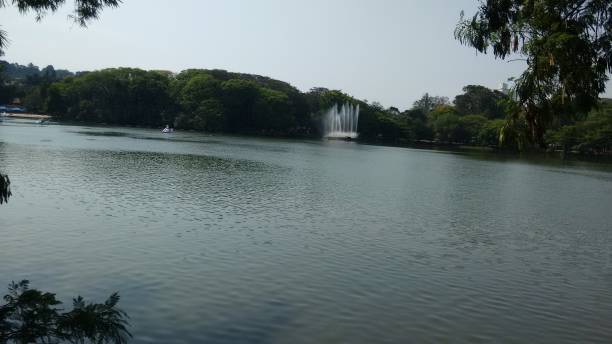 istock Natural dam, Campinas, Brazil 1363820785