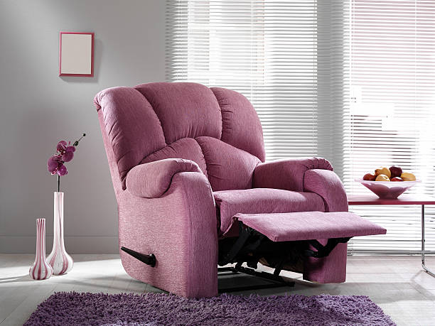 tv cadeira na sala de estar - purple single flower flower photography - fotografias e filmes do acervo
